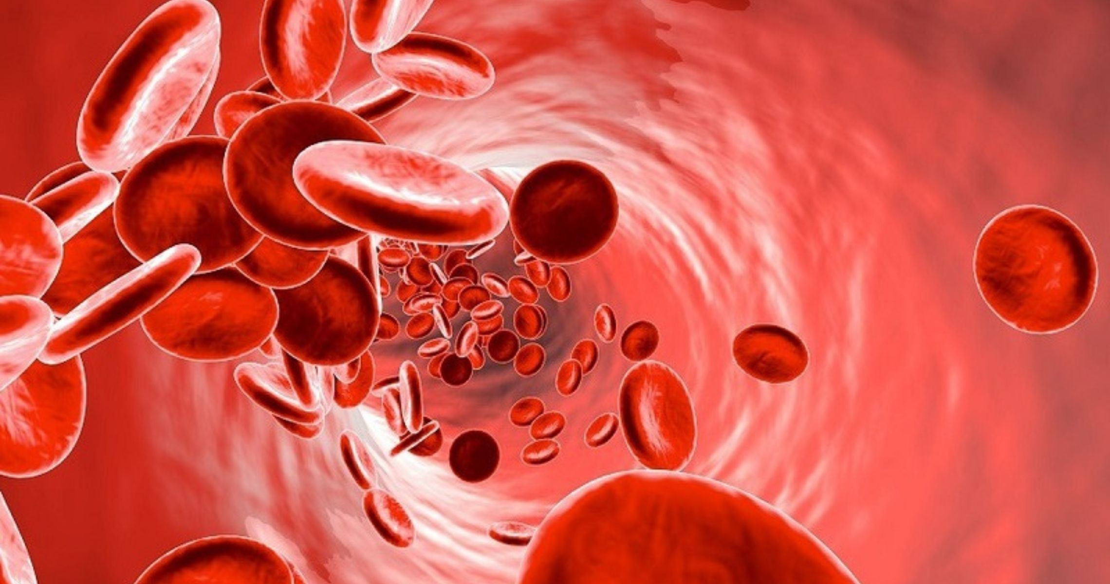 Chuyên gia chỉ ra 6 dấu hiệu sớm của bệnh máu cần được tầm soát